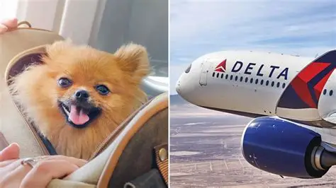 Delta flight dog diversion MSP