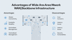 wan backbone advantages and disadvantages